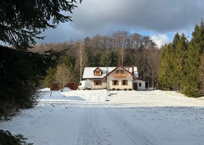 Villa Lesna Przystan *